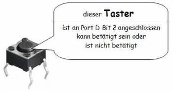 taster_objekt.jpg taster_objekt.jpg